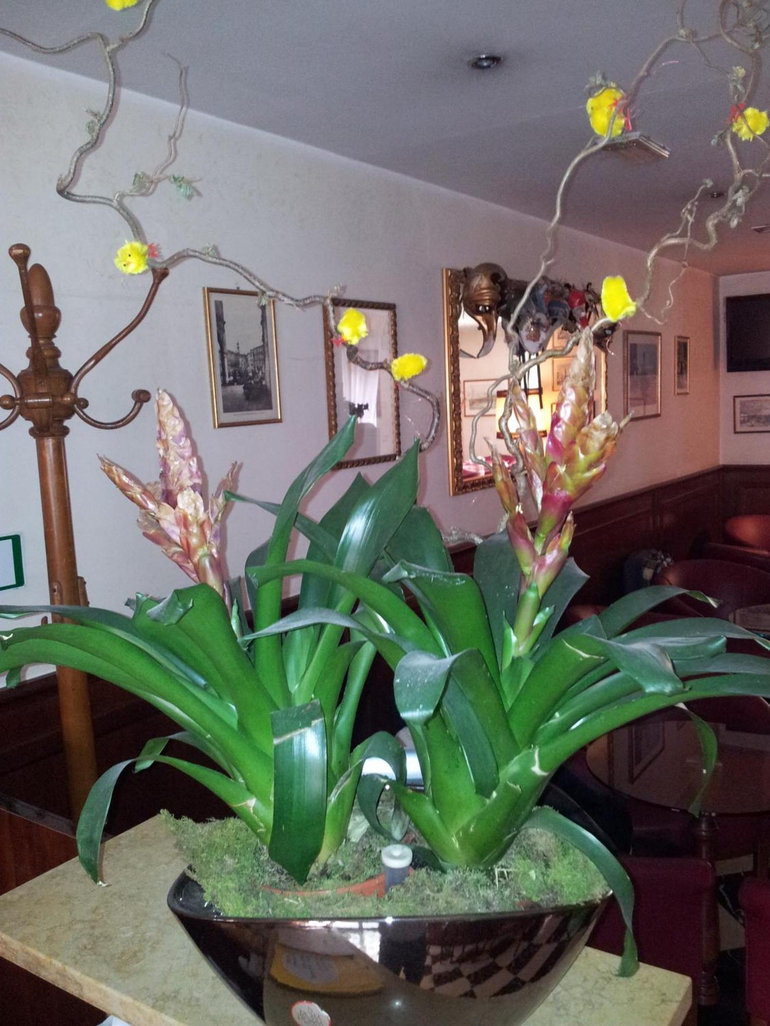 Hotel Regit Mestre Zewnętrze zdjęcie